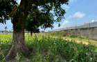 Land in Mtwapa - 1