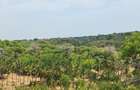 Land in Kilifi - 2