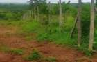Land in Kilifi County - 5
