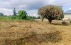1,000 m² Residential Land at Riu-Nderi - 10