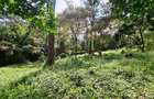 1.49 ac Land in Riara Road - 3
