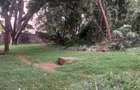 Residential Land at Lavington - 7