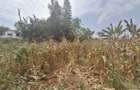 0.62 ac Land at Runda - 3