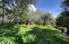 0.5 ac Land in Lake View - 2