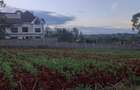 Residential Land at Ruiru Githunguri Road - 7