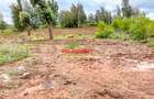 5 ac Land at Lusigetti - 8