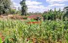 0.125 ac Commercial Land at Kikuyu - 3