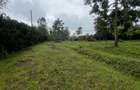 1 ac Land in Karen Hardy - 2