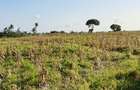 Land in Kilifi - 5