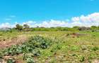 Land at Diani Beach - 16
