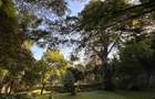4 Bed House with En Suite in Muthaiga - 5
