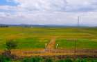 Land in Naivasha - 5