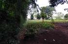 Residential Land at Kirawa Road - 6