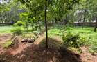 Land in Kileleshwa - 2
