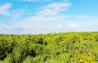 Land at Watamu - 15