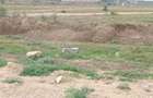 4.8 ac Commercial Property with Garden in Athi River - 19