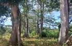 1,000 m² Residential Land at Vipingo - Kuruwitu - 14