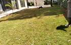 4 Bed Townhouse with En Suite in Runda - 11