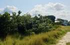 Land at Shanzu - 19
