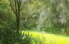 0.75 ac Residential Land at Naivasha Road - 1