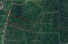 500 ac Land at Land For Sale On Funzi Island - 13