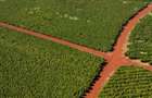 Land in Kiambu Road - 1