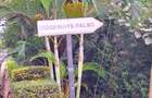 0.5 ac Residential Land at Ridgeways - 2