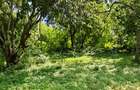 Land at Mtwapa - 10