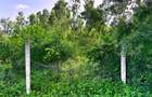 3,638 ft² Land at Mtwapa Cbd - 10