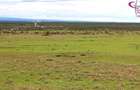 450 m² Land in Nanyuki - 1