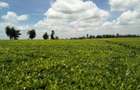 Land at Kiambu Rd - 5