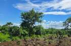 1 ac Land at Vipingo - 6