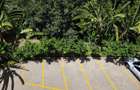 Furnished Studio Apartment with Gym in Gigiri - 11