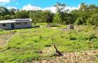 Land at Msambweni - 4