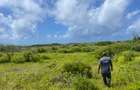 4 ac Land in Watamu - 10