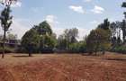 Residential Land at Flem Tree Off Ruaka Road - 8