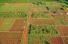 0.125 ac Land at Tatu City - 2