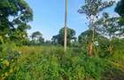 7 ac Land at Mtwapa - 16