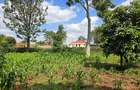 Residential Land in Runda - 12