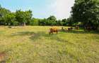 2.5 ac Land in Shanzu - 7