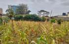 Commercial Land at Kirawa Road - 4