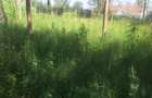 0.113 ac Residential Land in Ongata Rongai - 6