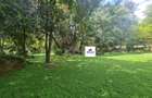 5 Bed House with En Suite in Kitisuru - 14