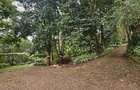 0.5 ac Residential Land at Ridgeways Kiambu Rd - 4