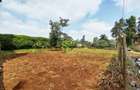 0.25 ac Land in Kinoo - 4