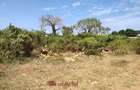 1.00 ac Residential Land at Diani Beach Road - 1