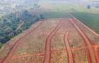 500 m² Land at Zuri Springs Estate - 2