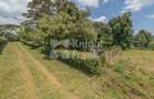 4.8 ac Land in Limuru - 15
