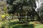 3 Bed House with En Suite at Njumbi Road - 5