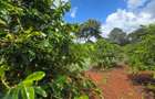0.25 ac Residential Land at Kamiti Road - 6